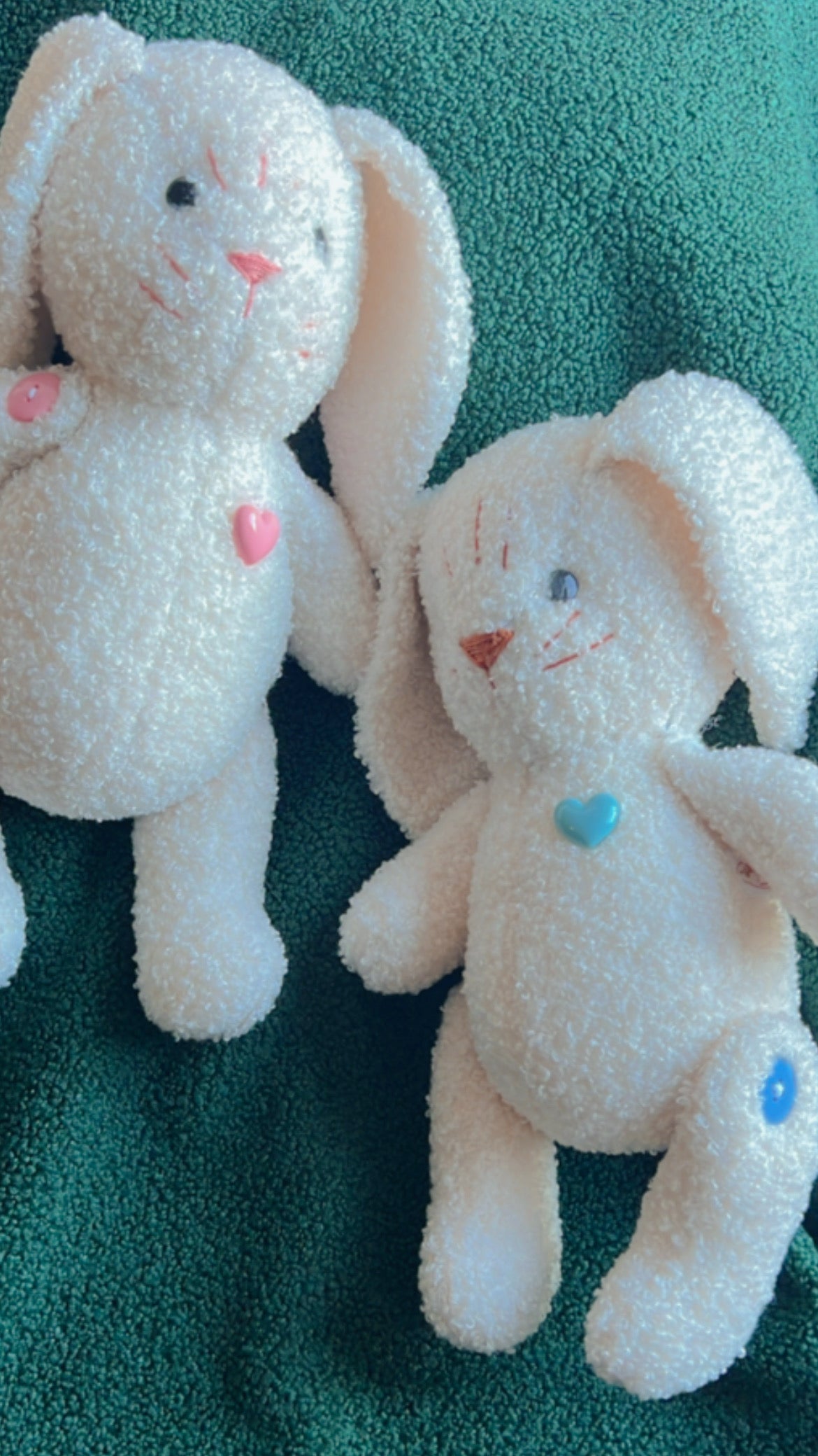Bunny Bundle White (Blue & Pink nose)
