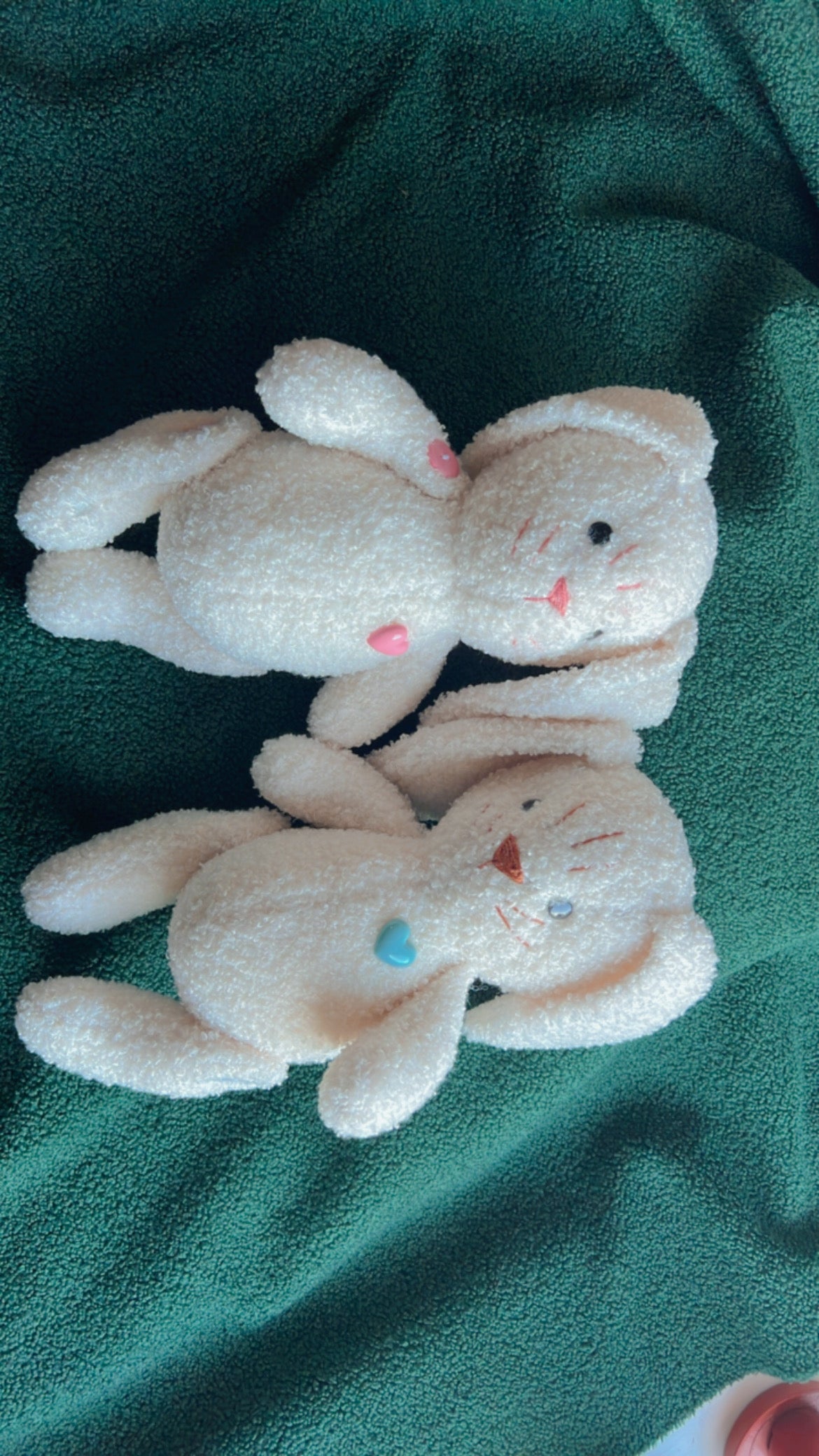 Bunny Bundle White (Blue & Pink nose)
