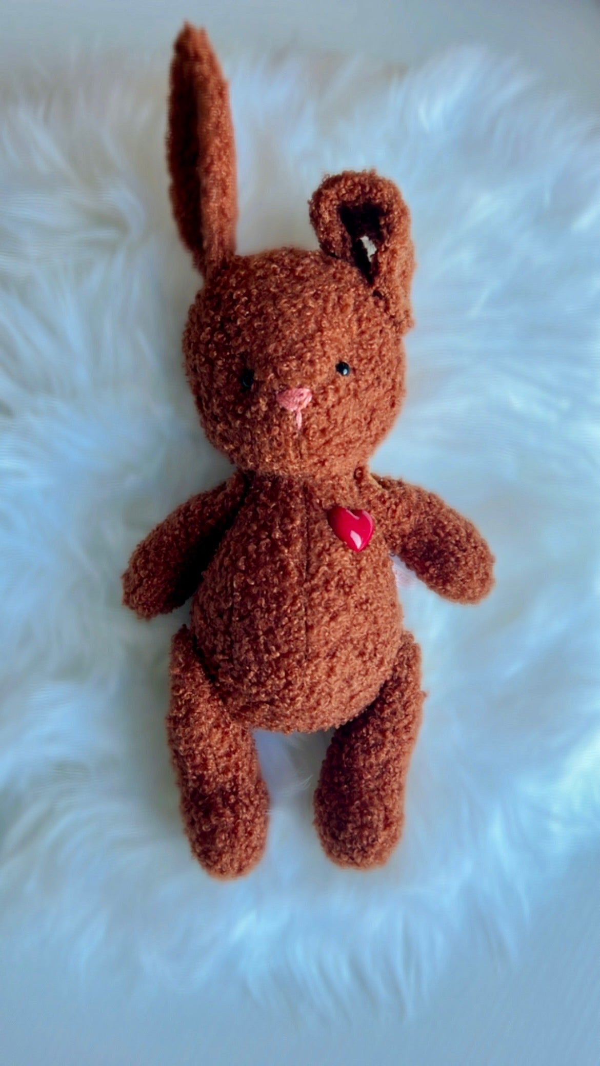 A Little Bunny Full of Love and Personality