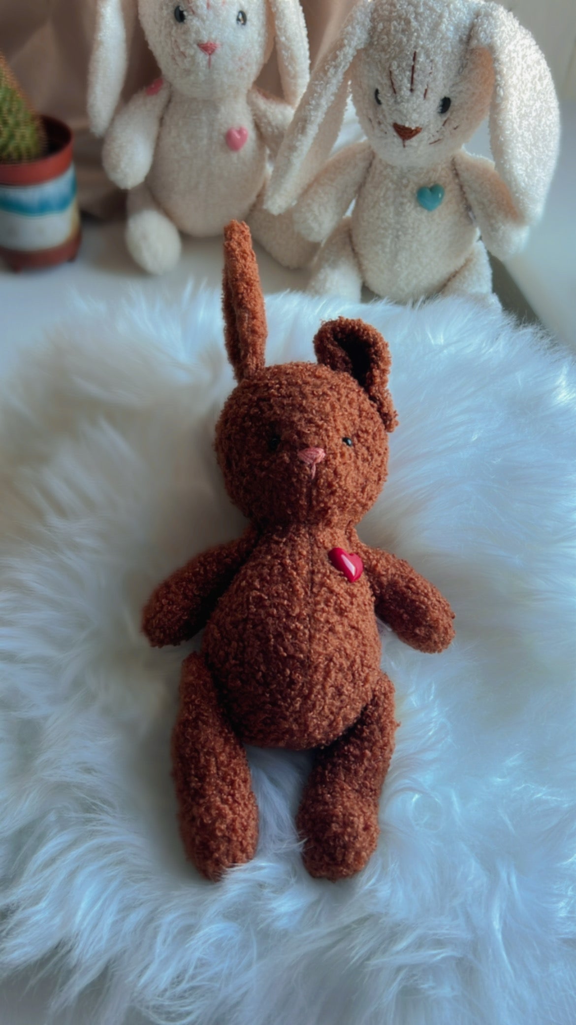 A Little Bunny Full of Love and Personality